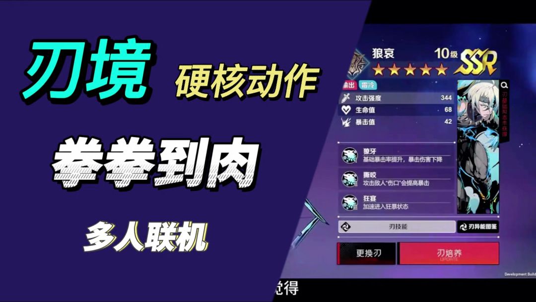 video-4646120