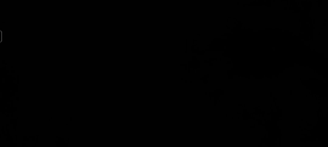 video-4646344