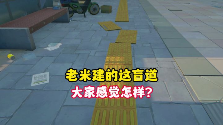 这盲道,大家感觉老米建的怎么样?截图
