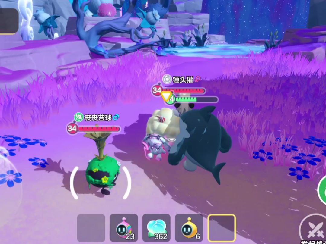 抓野生锤头獾，之前没抓魔音沙鳗的有福了截图