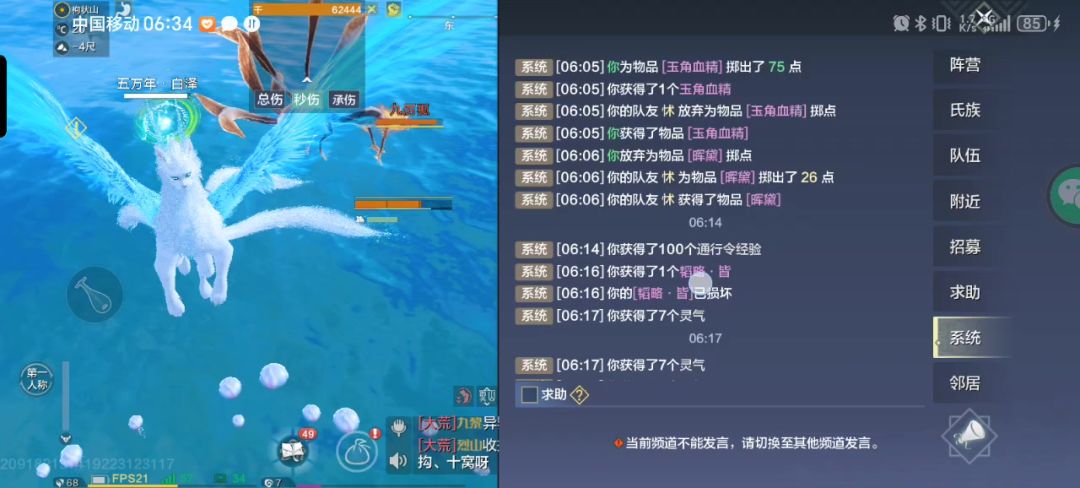 video-4649803