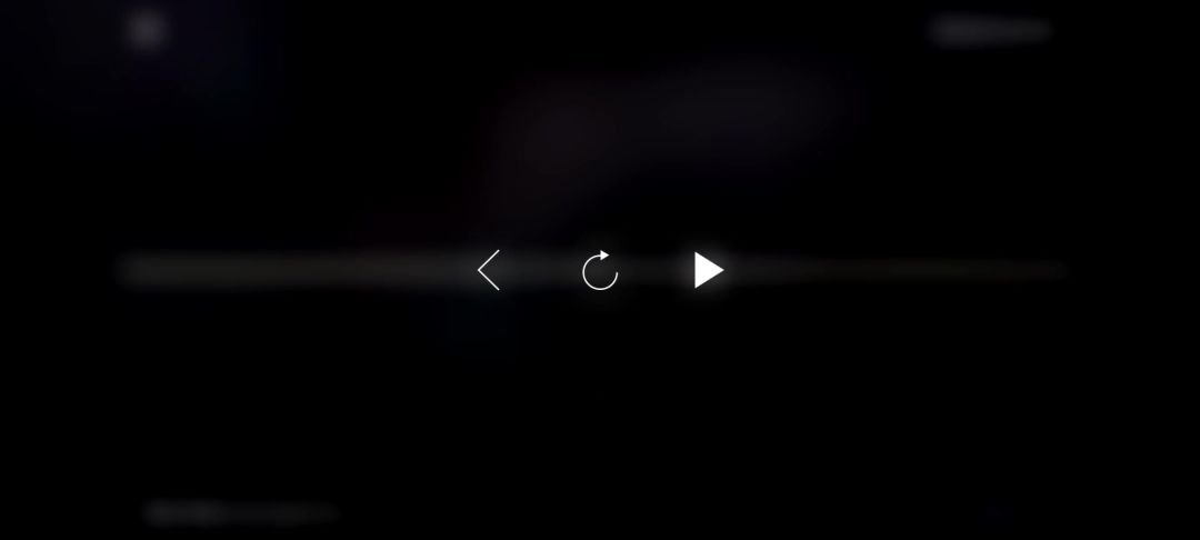 video-4649932