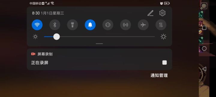 Boss关的地图有bug截图