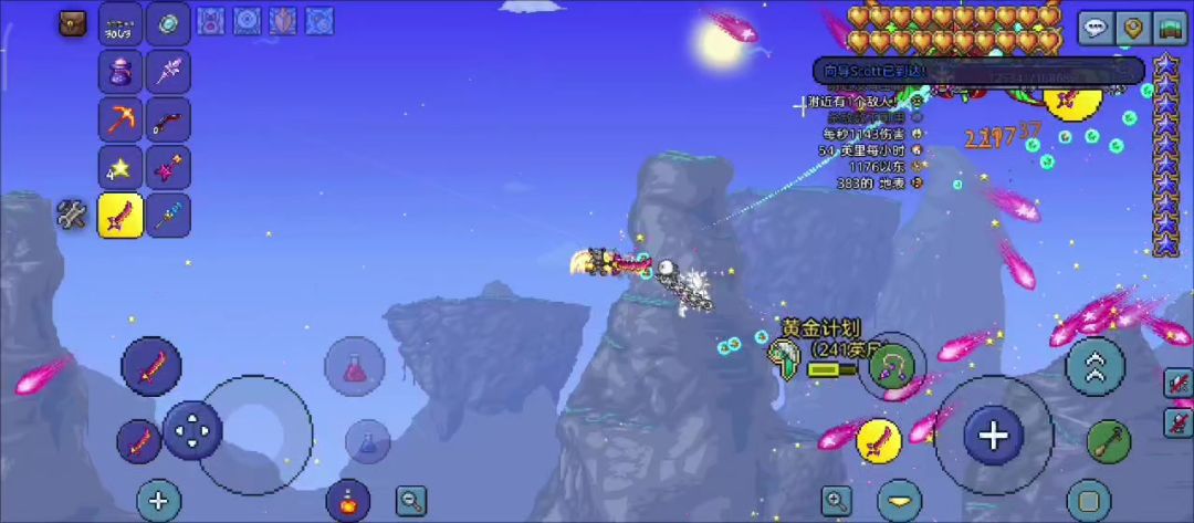 video-4652745