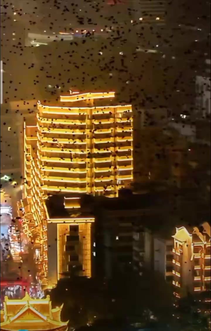 video-4652807