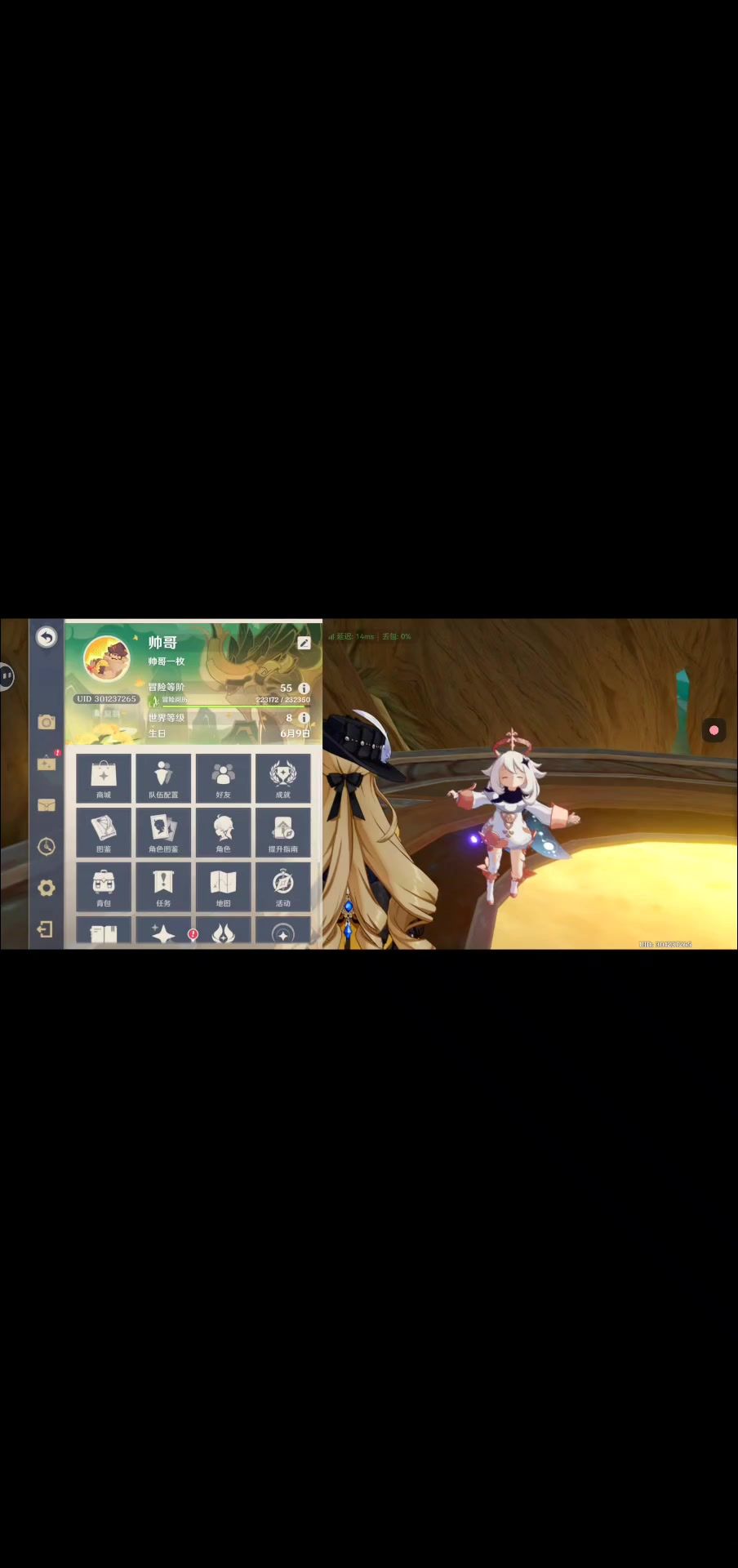video-4653618