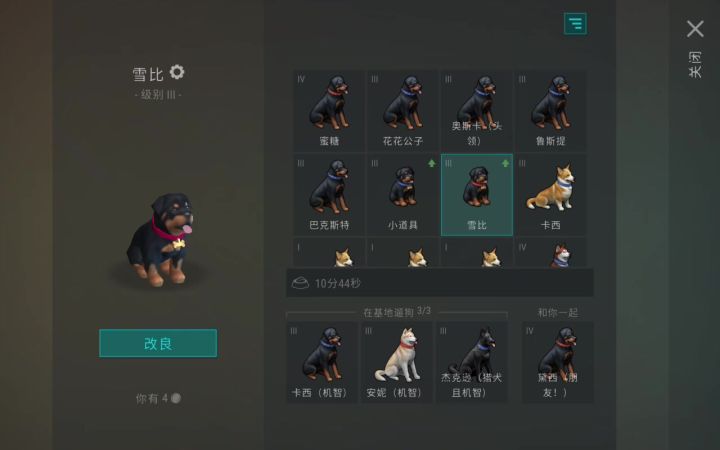 狗狗🐶截图