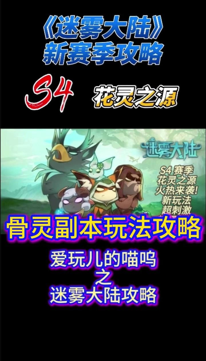 video-4654232