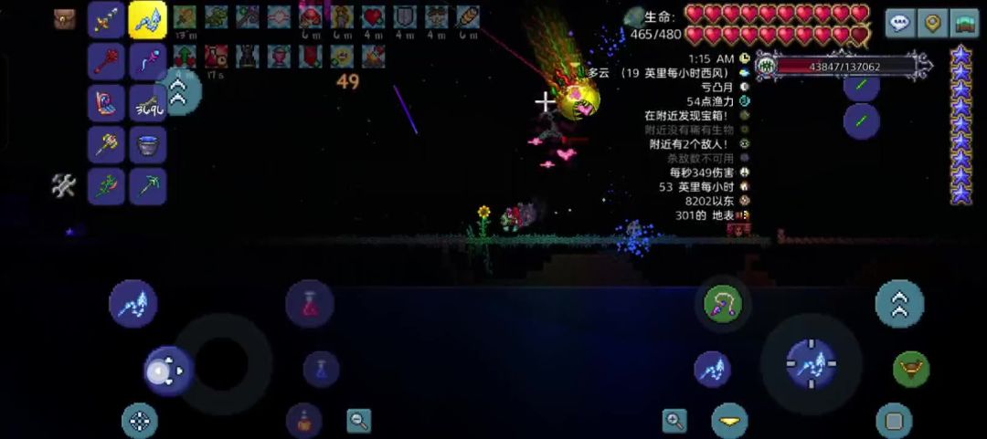 video-4654847