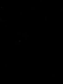 新场景 | 冬天的快乐！和猫猫一起溜滑梯喵~