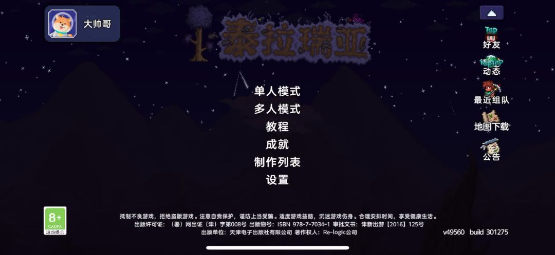 video-4657277