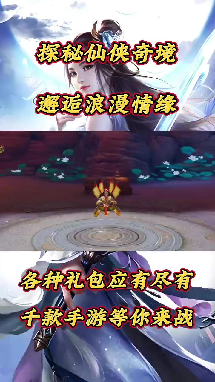 video-4657403
