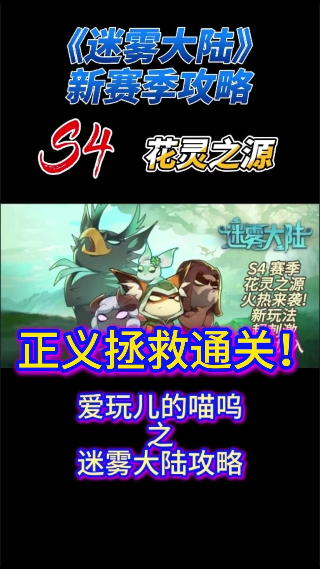 video-4657630