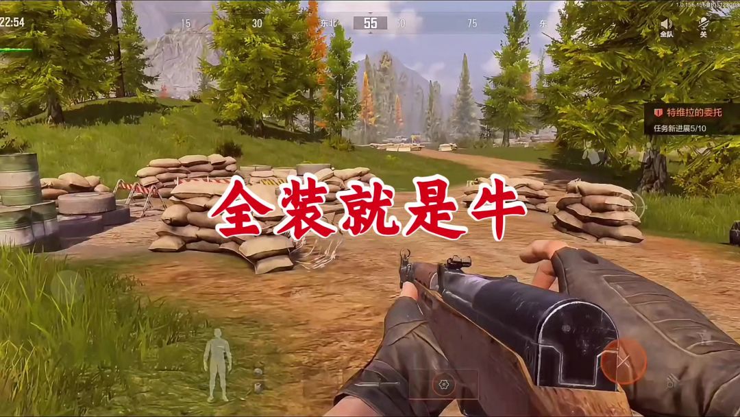 video-4659220