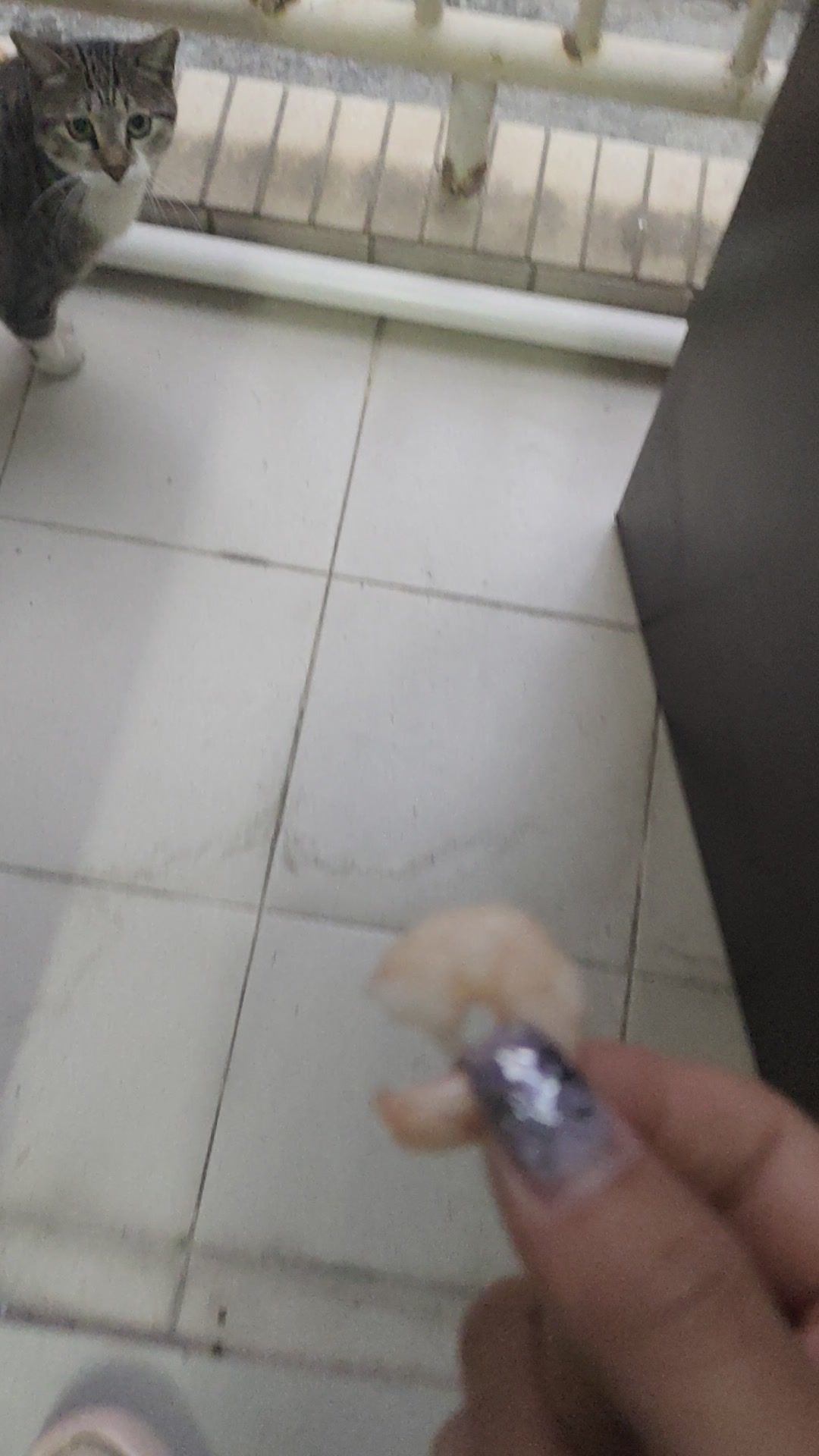video-4659335