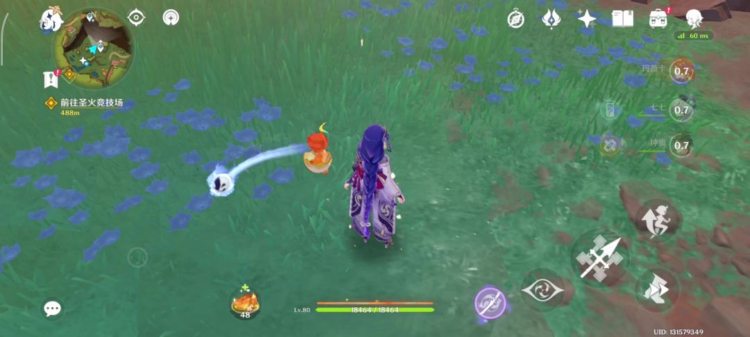 video-4660826