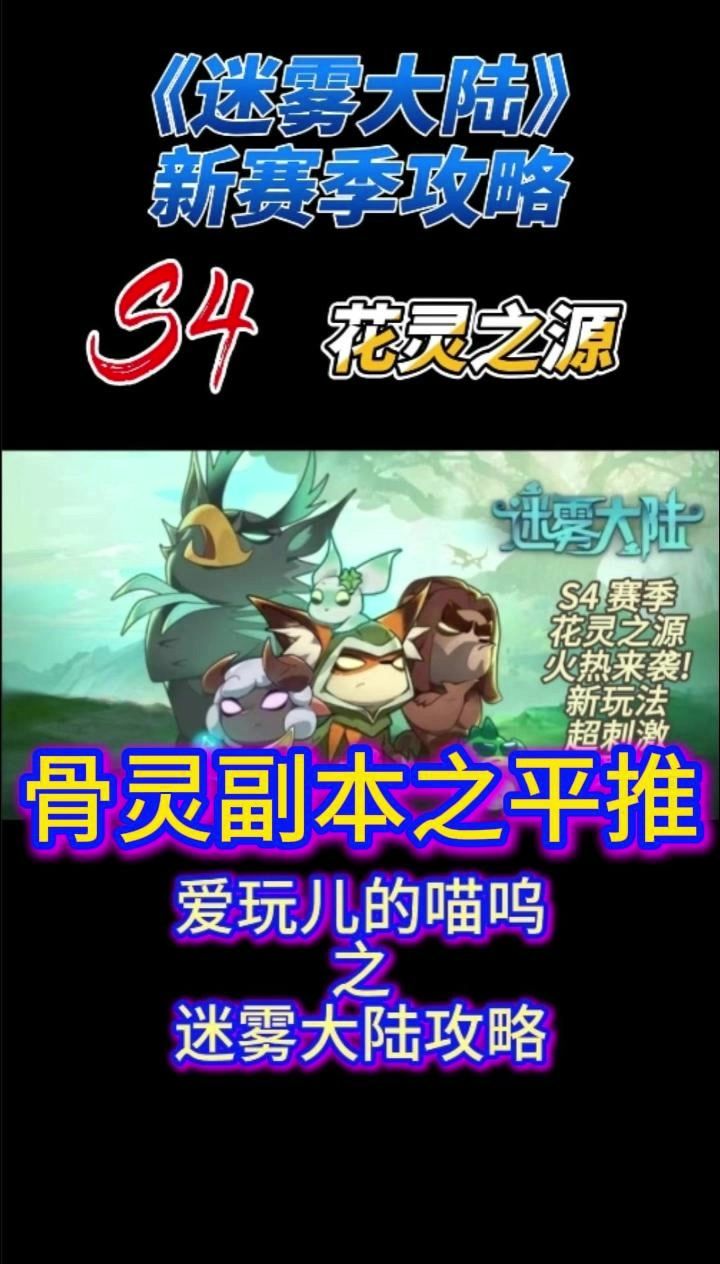 video-4661532