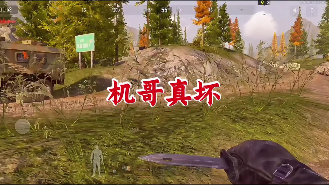video-4667480