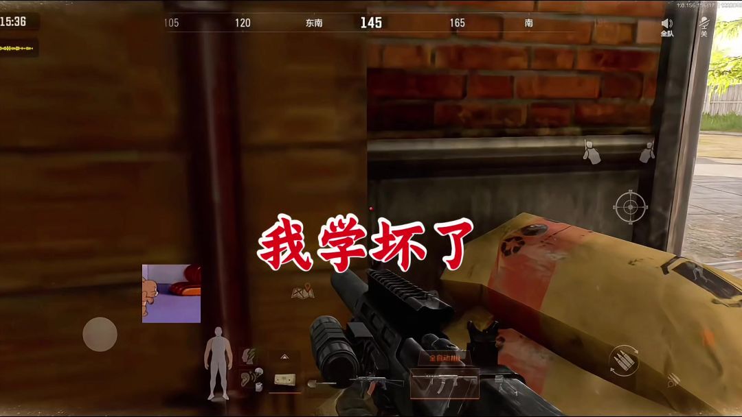 video-4671709