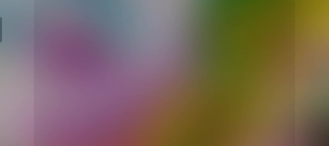 video-4673394