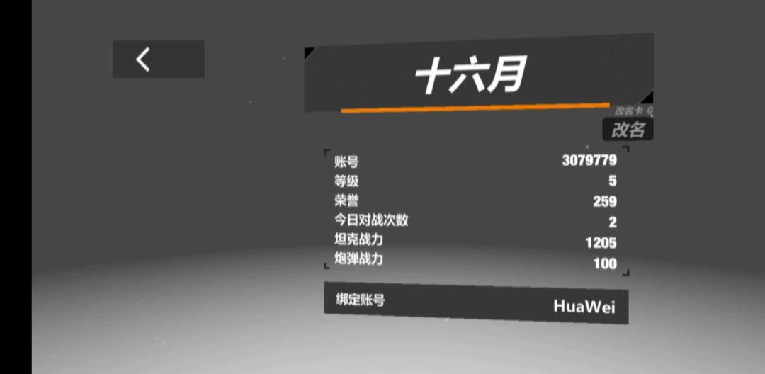 video-4675453