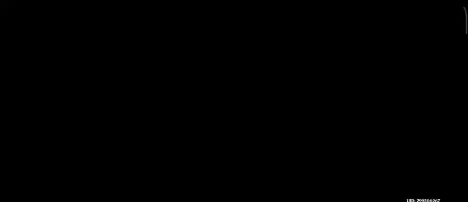 video-4675830