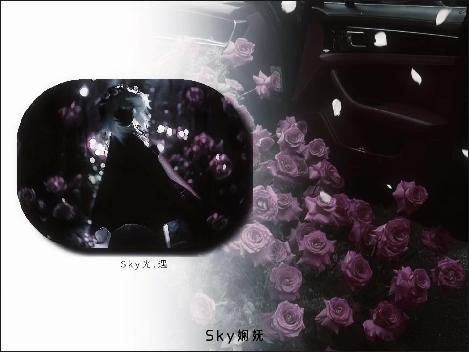 video-4679763