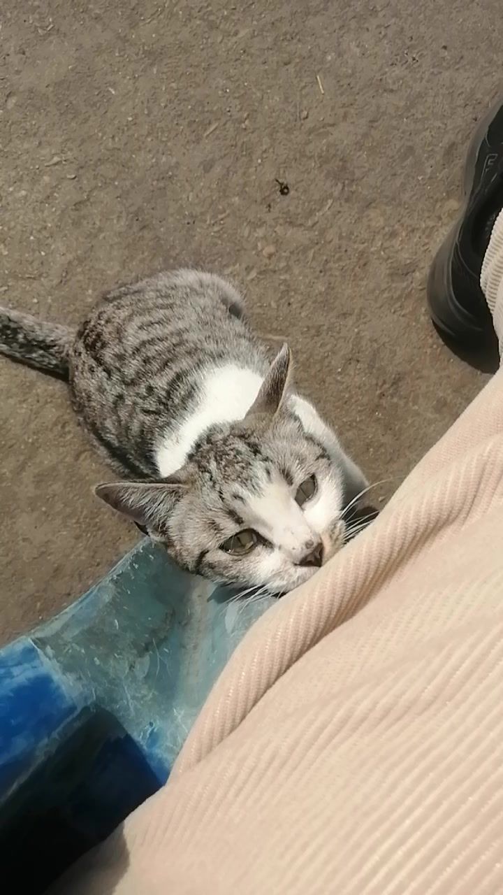 video-4682701
