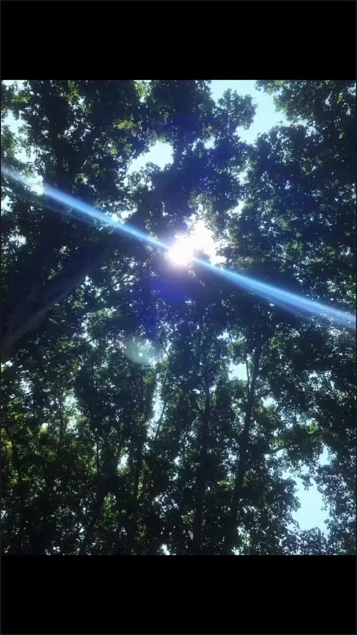 video-4684249
