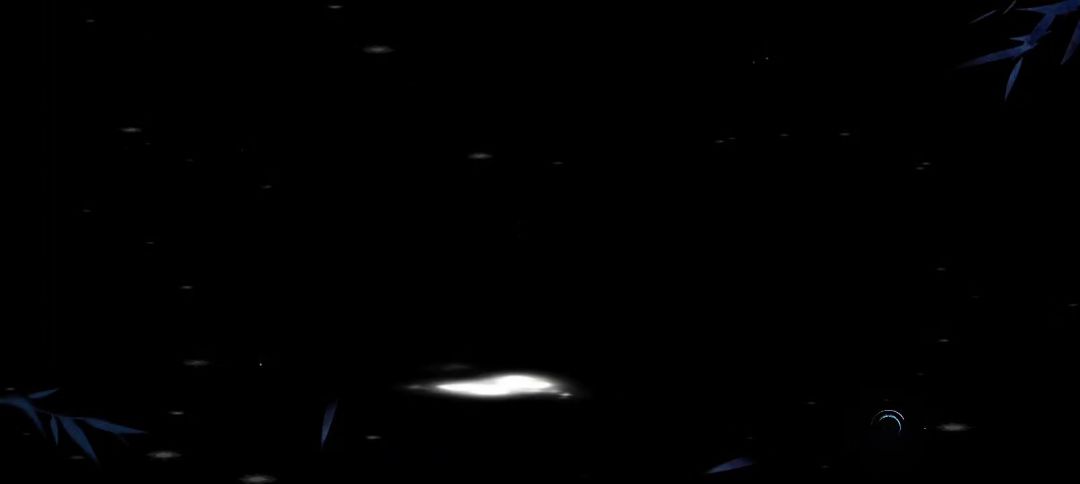 video-4684548
