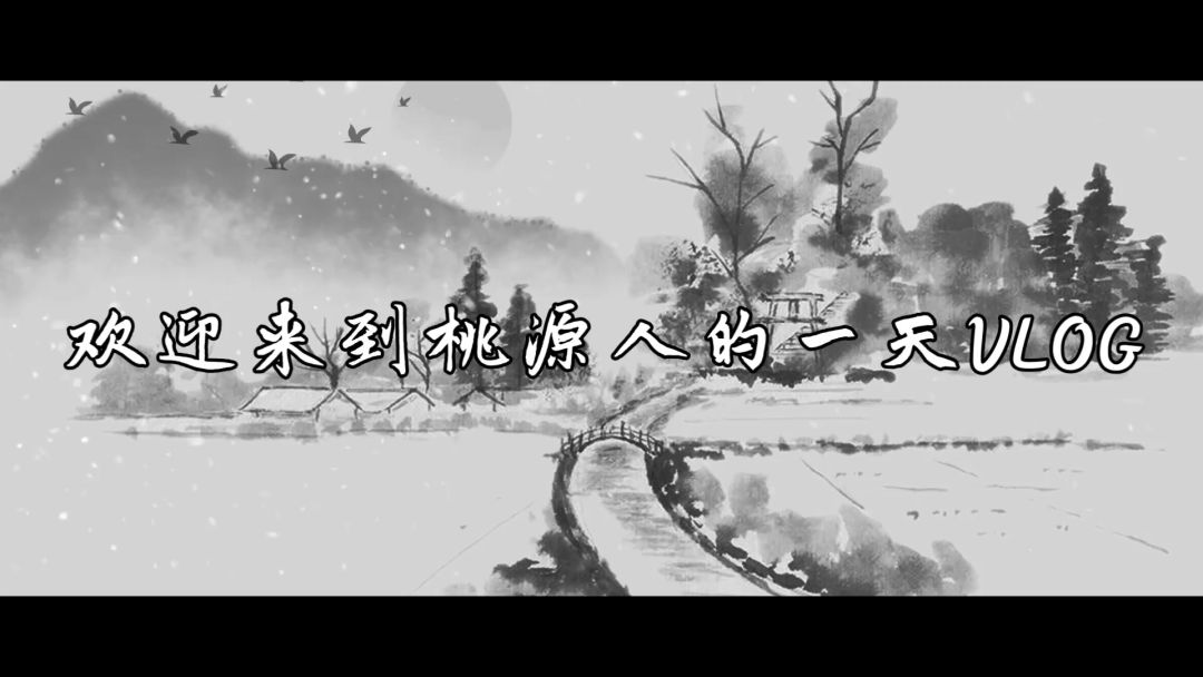 video-4688420