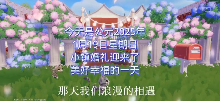 小镇婚礼每天都有婚礼🌹🌹🌹截图
