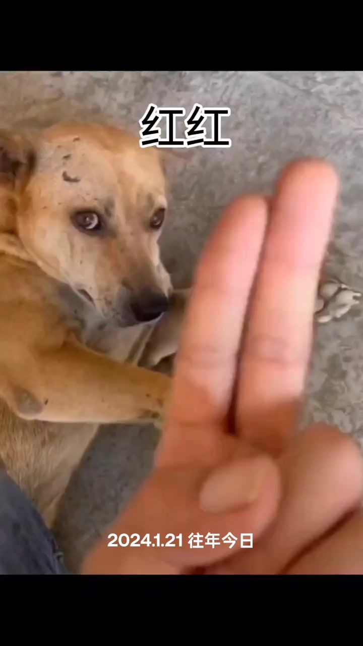 video-4697960