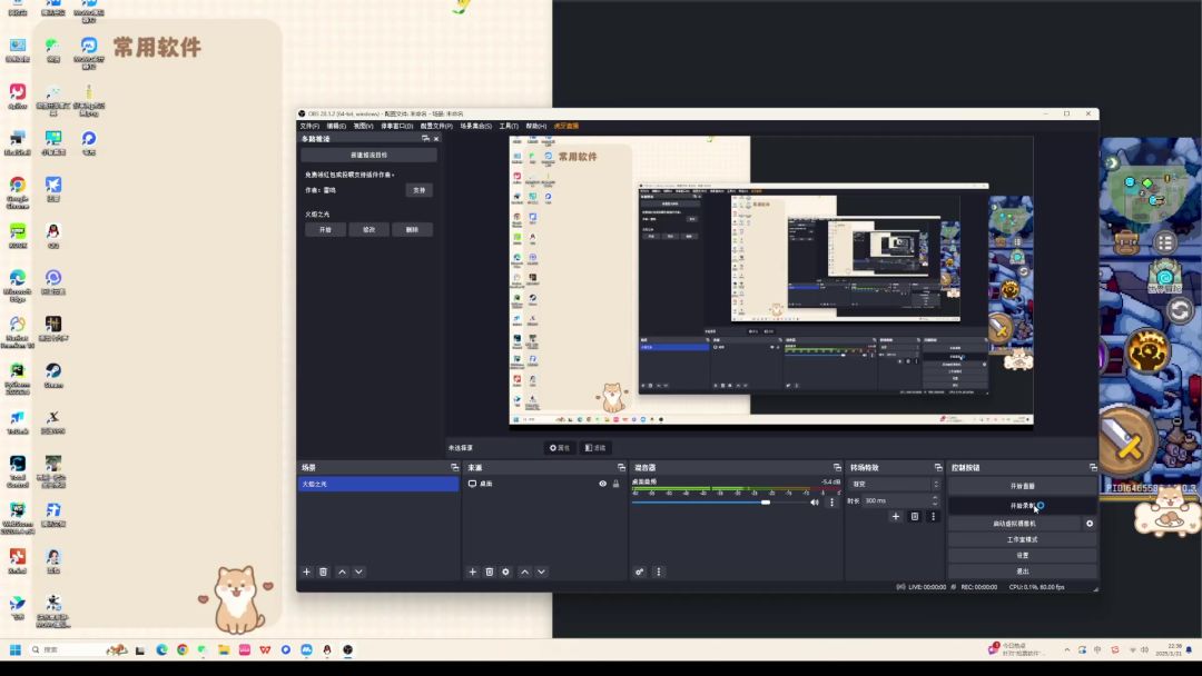 video-4698351