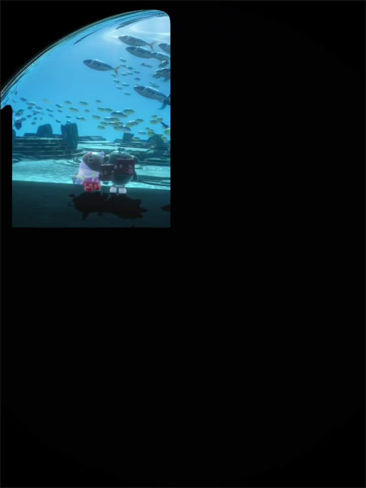 video-4702216