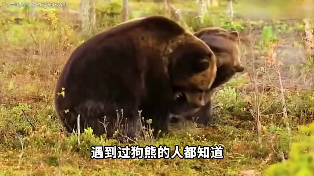 video-4703007