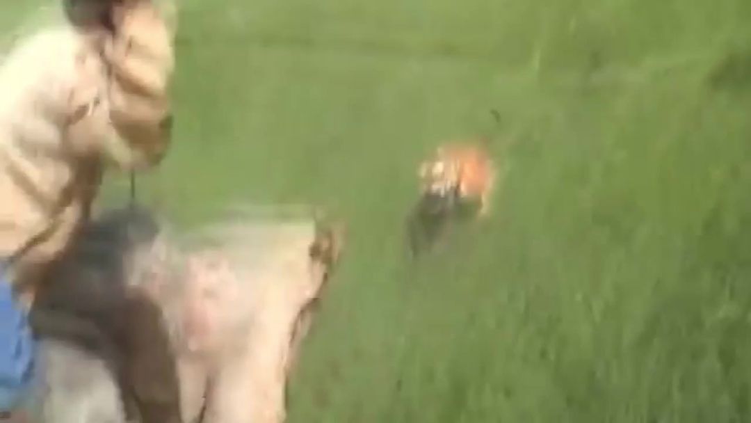 video-4703265