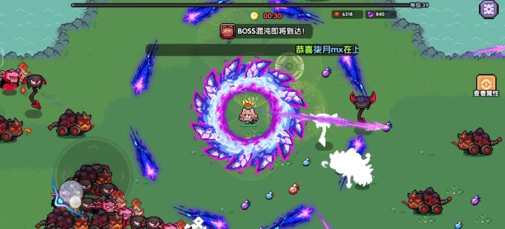 这就是6觉醒武器截图