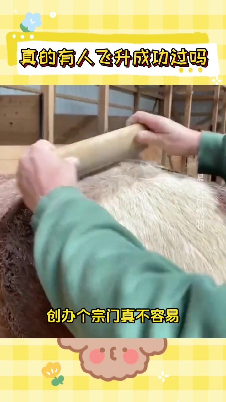 video-4704066