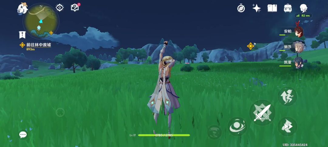 video-4706120