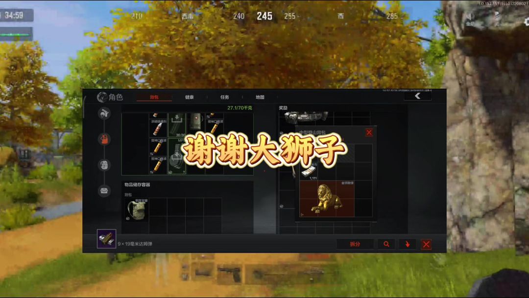 video-4706913