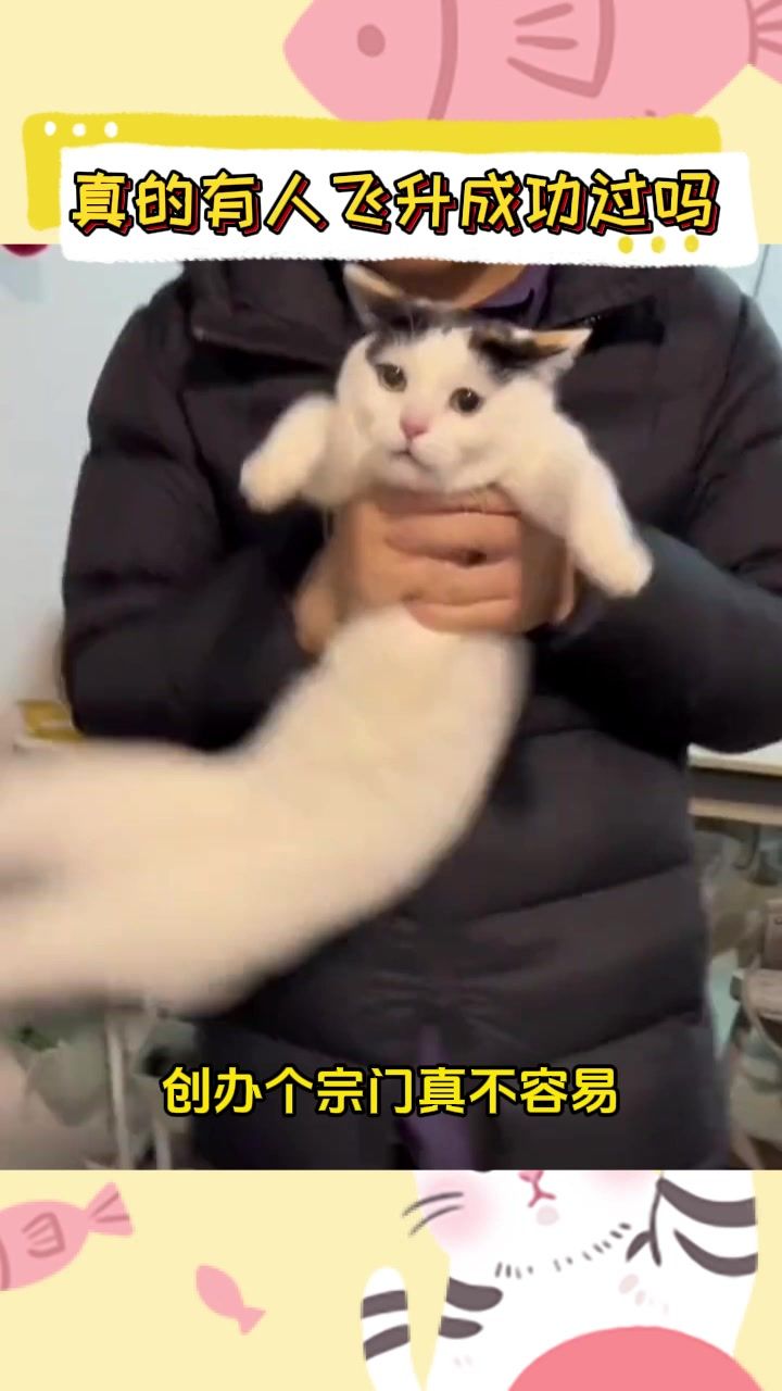 video-4708881