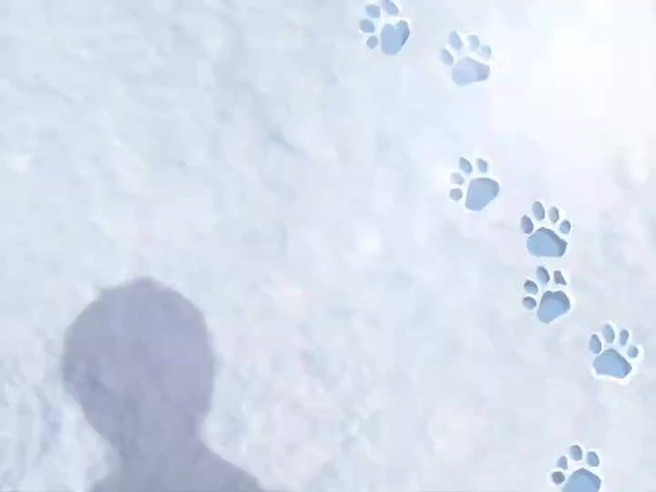video-4710811
