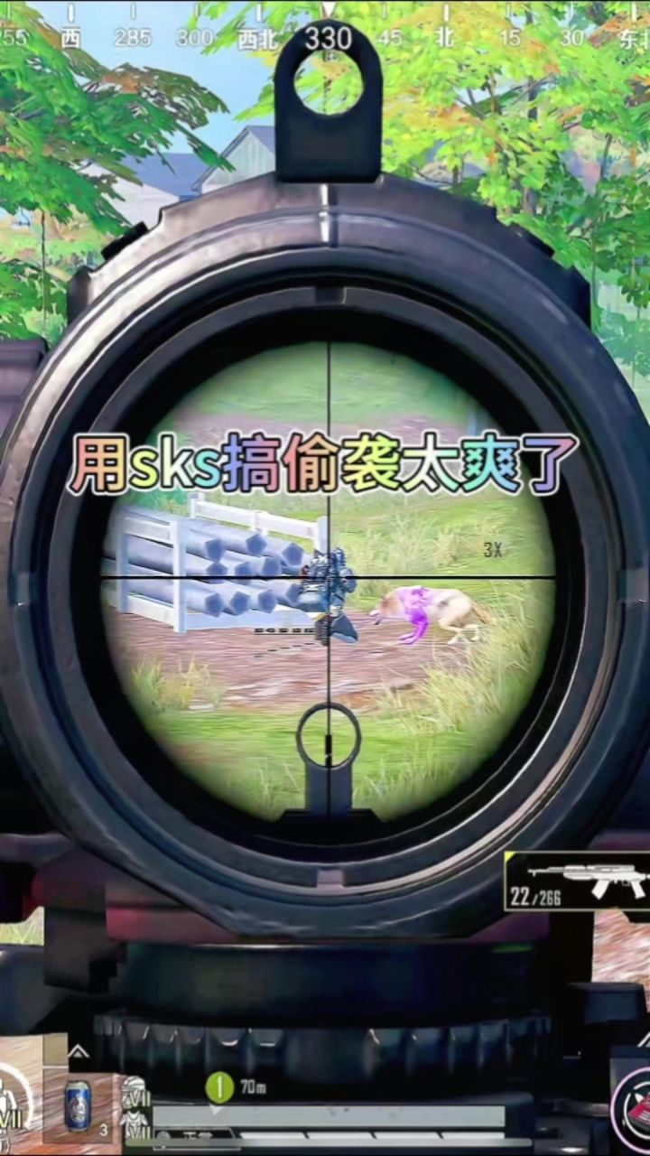 用sks搞偷袭太爽了截图