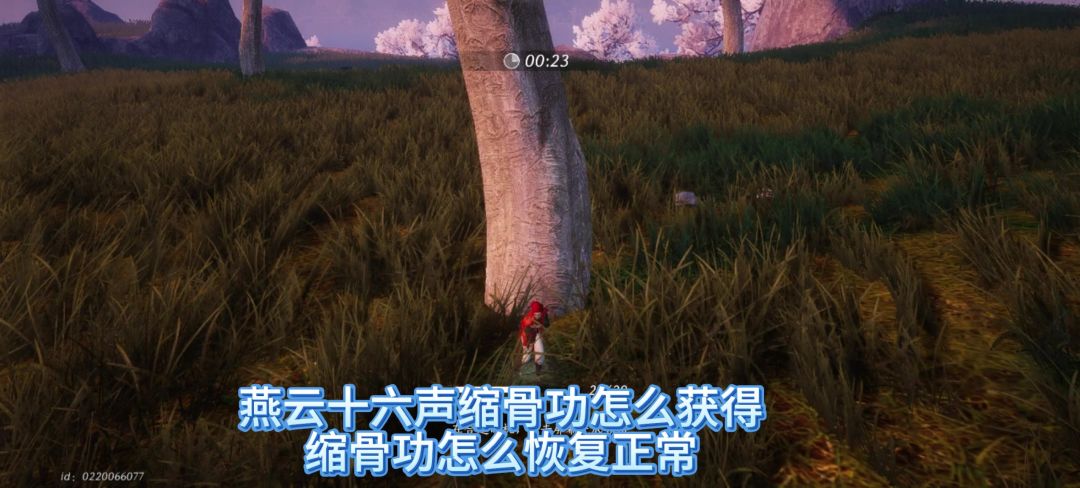 video-4712764