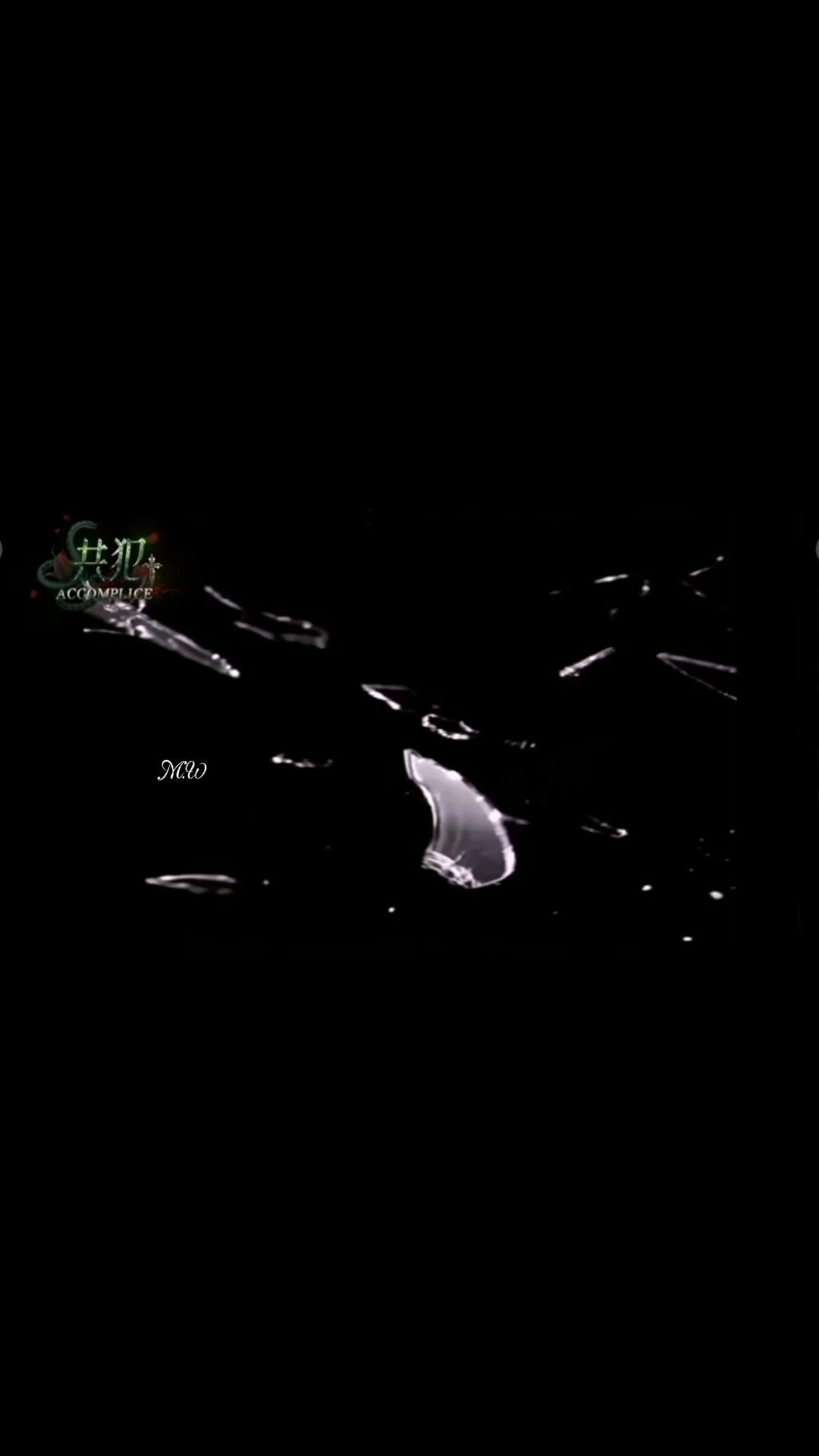 video-4721420