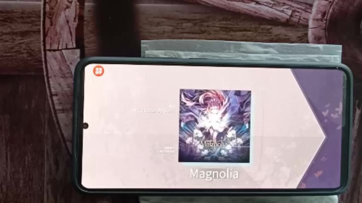 Magnolia Ftr10 全连手元截图