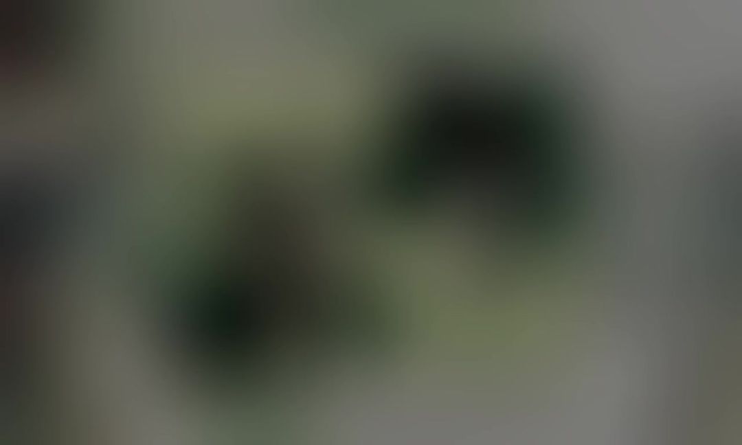 video-4722418