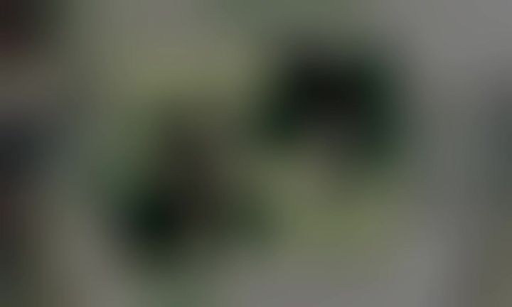 新手下饭操作截图
