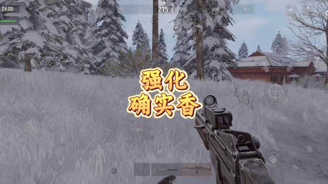 video-4726093